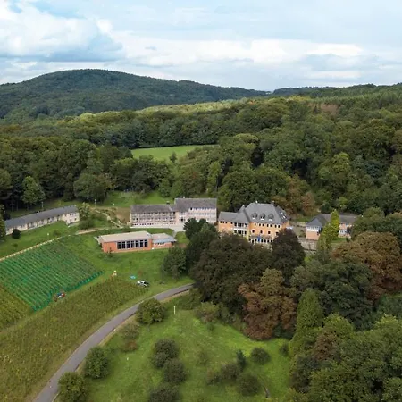 Hotel Jufa Koenigswinter/bonn