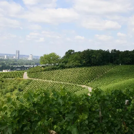 Jufa Koenigswinter/bonn Szálloda 4*