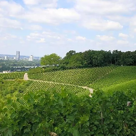 Jufa Koenigswinter/bonn Königswinter