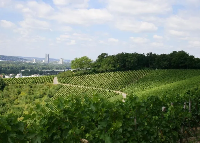 Jufa Koenigswinter/bonn Hotel 4*